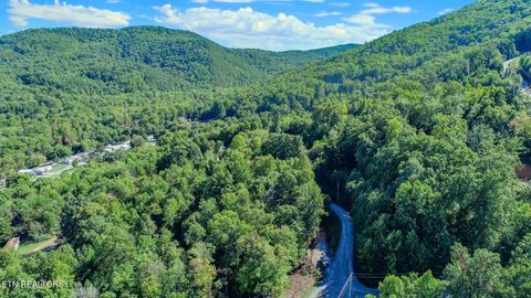 Tiny photo for 1272 Applewood Rd Rd, Newport, TN 37821 (MLS # 1317962)