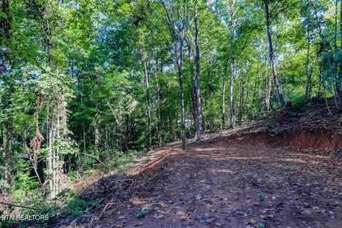 Tiny photo for 1272 Applewood Rd Rd, Newport, TN 37821 (MLS # 1317962)