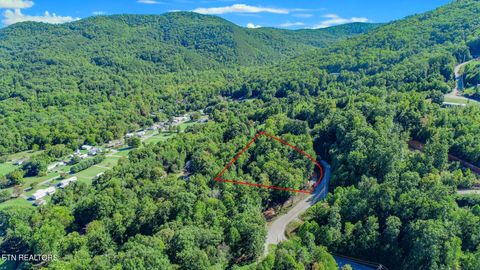 Photo of 1272 Applewood Rd Rd, Newport, TN 37821 (MLS # 1317962)