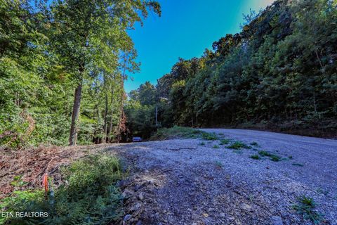 Tiny photo for 1272 Applewood Rd Rd, Newport, TN 37821 (MLS # 1317962)