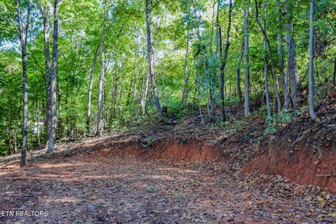 Tiny photo for 1272 Applewood Rd Rd, Newport, TN 37821 (MLS # 1317962)