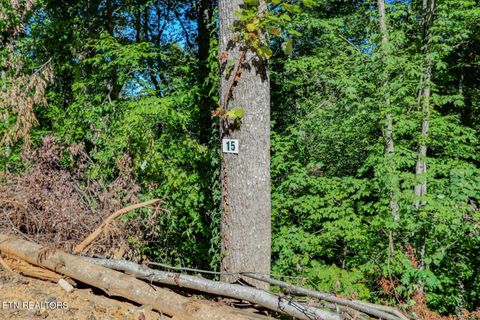 Tiny photo for 1272 Applewood Rd Rd, Newport, TN 37821 (MLS # 1317962)