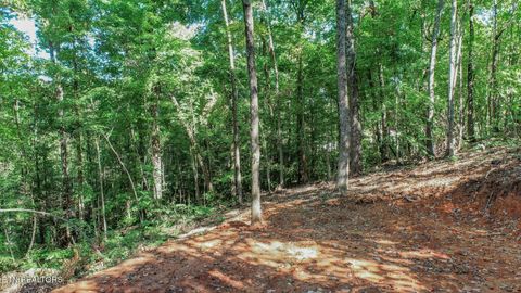 Tiny photo for 1272 Applewood Rd Rd, Newport, TN 37821 (MLS # 1317962)