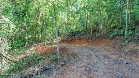 Tiny photo for 1272 Applewood Rd Rd, Newport, TN 37821 (MLS # 1317962)