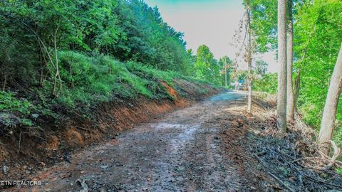 Tiny photo for 1272 Applewood Rd Rd, Newport, TN 37821 (MLS # 1317962)