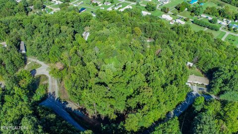 Tiny photo for 1272 Applewood Rd Rd, Newport, TN 37821 (MLS # 1317962)