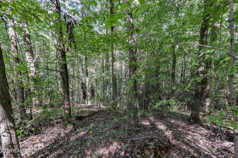 Tiny photo for 1272 Applewood Rd Rd, Newport, TN 37821 (MLS # 1317962)