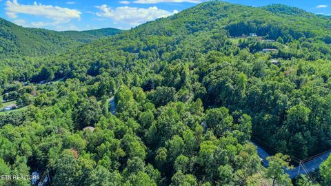 Tiny photo for 1272 Applewood Rd Rd, Newport, TN 37821 (MLS # 1317962)