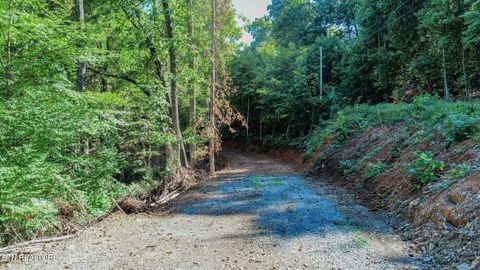 Tiny photo for 1272 Applewood Rd Rd, Newport, TN 37821 (MLS # 1317962)