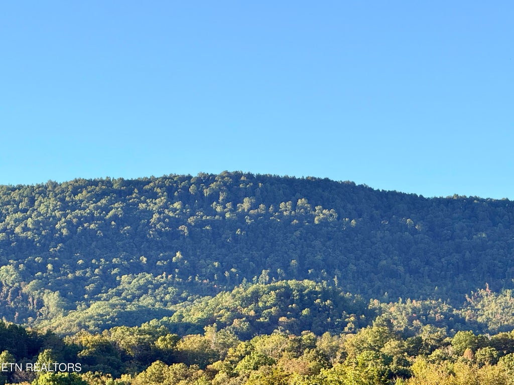 Photo of 130 Jared Lane, Cumberland Gap, TN 37724 (MLS # 1358158)