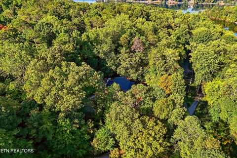 Tiny photo for 1027 N Sequoyah Drive, Friendsville, TN 37737 (MLS # 1357515)