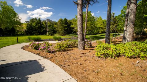 Tiny photo for 1269 Hwy 139 #201B, Dandridge, TN 37725 (MLS # 1320886)