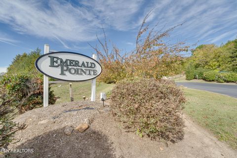 Photo of Ivy Way, Newport, TN 37821 (MLS # 1324744)