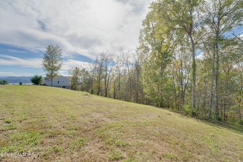 Tiny photo for Ivy Way, Newport, TN 37821 (MLS # 1324744)