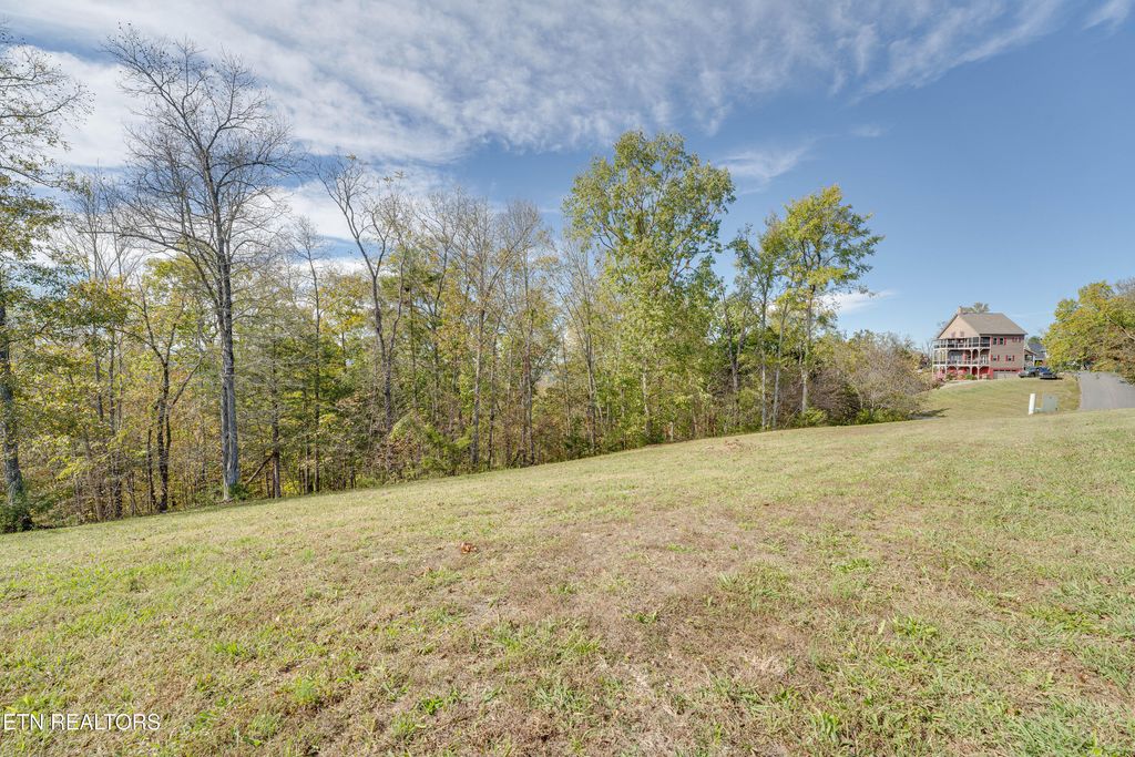 Photo of Ivy Way, Newport, TN 37821 (MLS # 1324744)