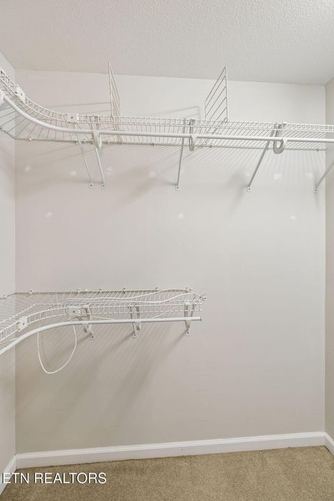 Tiny photo for 2060 Torbett Rd, Spring City, TN 37381 (MLS # 1333036)