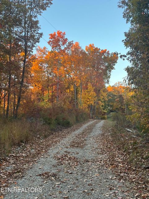 27.42 AC Black Mountain Road Rd Tellico Plains TN 37385