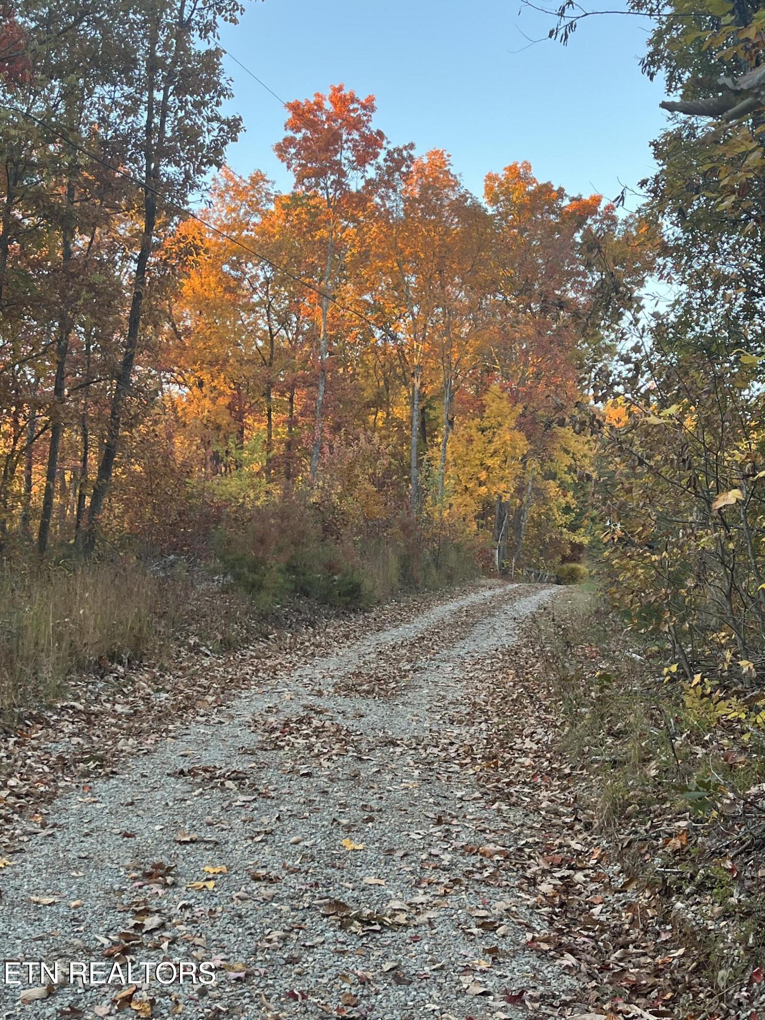 27.42 AC Black Mountain Road Rd