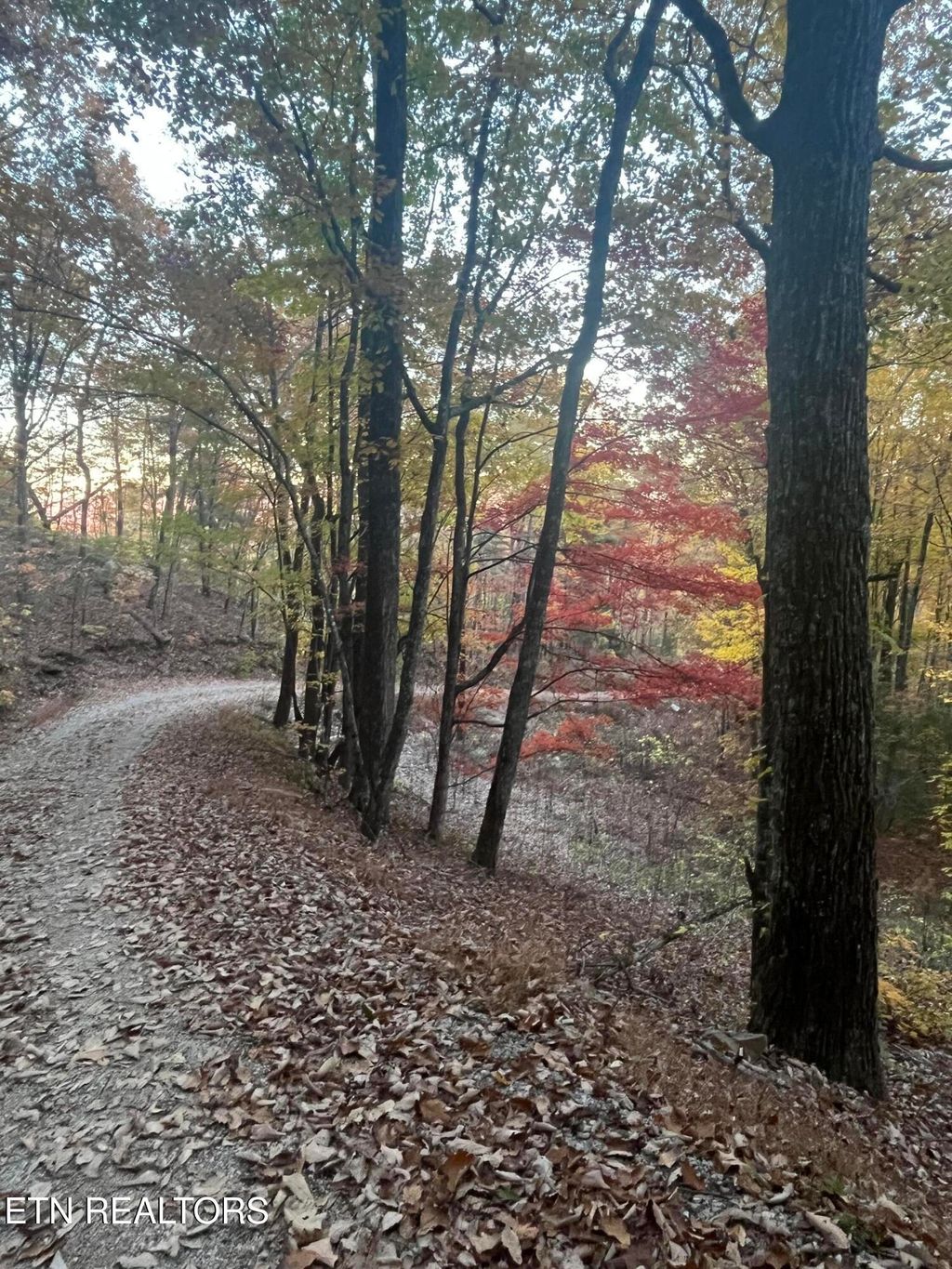 Photo of 2742 Black Mountain Road Rd, Tellico Plains, TN 37385 (MLS # 1326056)