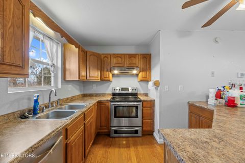 Tiny photo for 827 Pleasant View Drive, Dandridge, TN 37725 (MLS # 1329338)