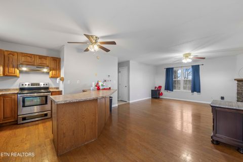 Tiny photo for 827 Pleasant View Drive, Dandridge, TN 37725 (MLS # 1329338)