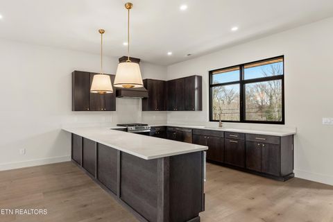 Tiny photo for 847 Vera Valley Way, Knoxville, TN 37919 (MLS # 1334415)