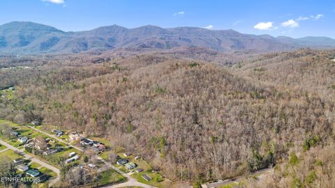 Tiny photo for 1020 Cox Circle, Oliver Springs, TN 37840 (MLS # 1333543)