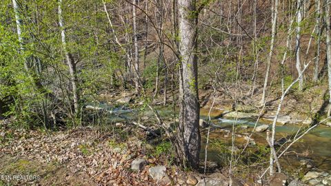 Tiny photo for 1020 Cox Circle, Oliver Springs, TN 37840 (MLS # 1333543)