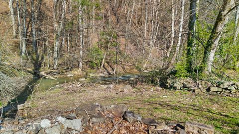 Tiny photo for 1020 Cox Circle, Oliver Springs, TN 37840 (MLS # 1333543)