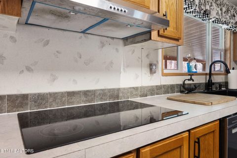 Tiny photo for 1020 Cox Circle, Oliver Springs, TN 37840 (MLS # 1333543)