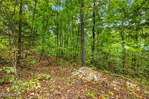 Tiny photo for 23 Timber Ridge Lane, Celina, TN 38551 (MLS # 1357264)