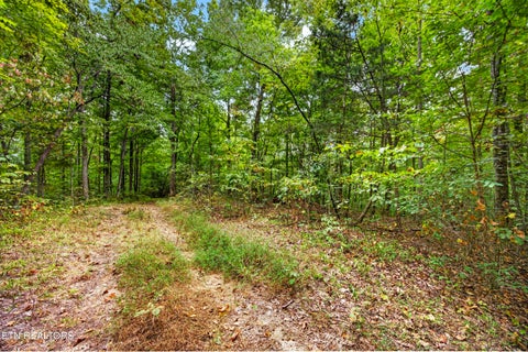 Tiny photo for 23 Timber Ridge Lane, Celina, TN 38551 (MLS # 1357264)