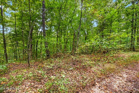 Tiny photo for 23 Timber Ridge Lane, Celina, TN 38551 (MLS # 1357264)