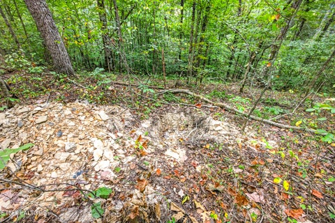 Tiny photo for 23 Timber Ridge Lane, Celina, TN 38551 (MLS # 1357264)