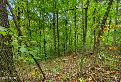 Tiny photo for 23 Timber Ridge Lane, Celina, TN 38551 (MLS # 1357264)