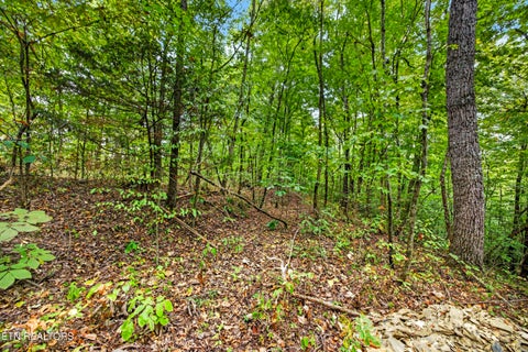 Tiny photo for 23 Timber Ridge Lane, Celina, TN 38551 (MLS # 1357264)