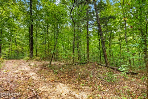 Tiny photo for 23 Timber Ridge Lane, Celina, TN 38551 (MLS # 1357264)