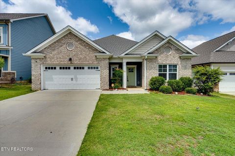 10211 Stellata Lane Apison TN 37302