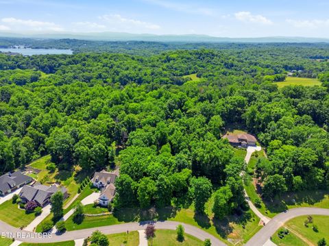 Photo of 3406 Lanyard Lane, Louisville, TN 37777 (MLS # 1341956)