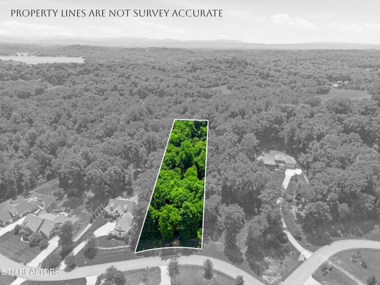 3406 LANYARD LN, LOUISVILLE, TN 37777 - Image 966c284f2c7bebb44be87bde00ea845a/3515993041