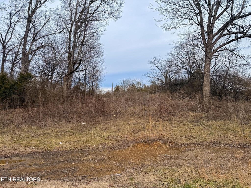 Photo of 00 County Road 334, Niota, TN 37826 (MLS # 1330778)