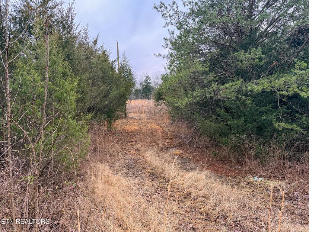 Photo of 00 County Road 334, Niota, TN 37826 (MLS # 1330778)
