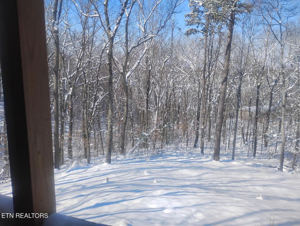 Photo of 1042 Old Oliver Rd, Walland, TN 37886 (MLS # 1320137)