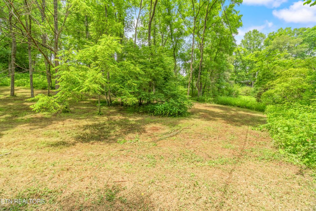 Photo of 1 N Slope Lane, Clinton, TN 37716 (MLS # 1304873)