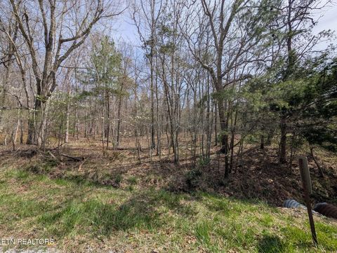 Photo of 146 Darwin Lane, Crossville, TN 38558 (MLS # 1336345)