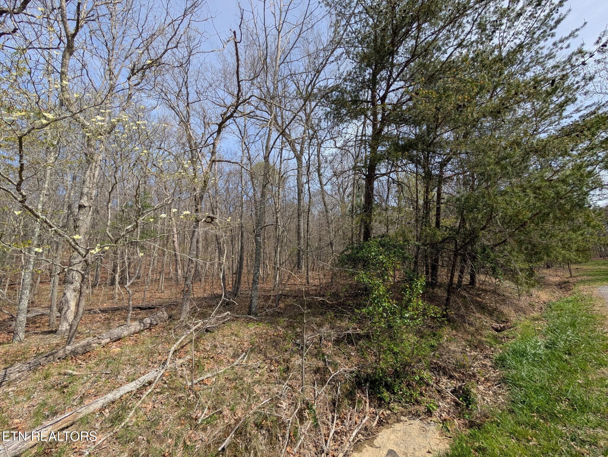 146 Darwin Lane