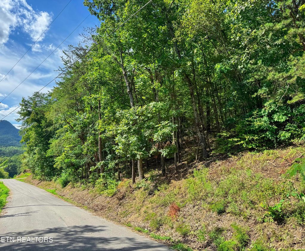Photo of Helton Rd, Sevierville, TN 37876 (MLS # 1313182)