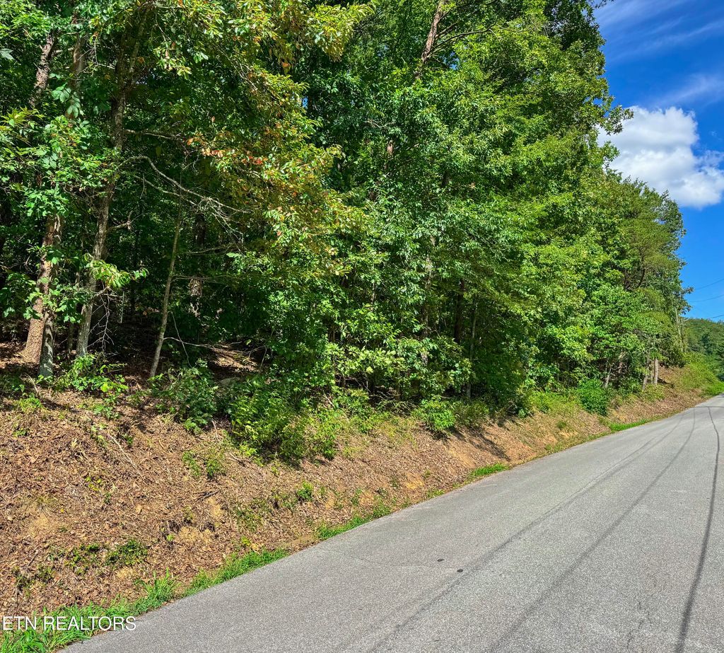 Photo of Helton Rd, Sevierville, TN 37876 (MLS # 1313182)