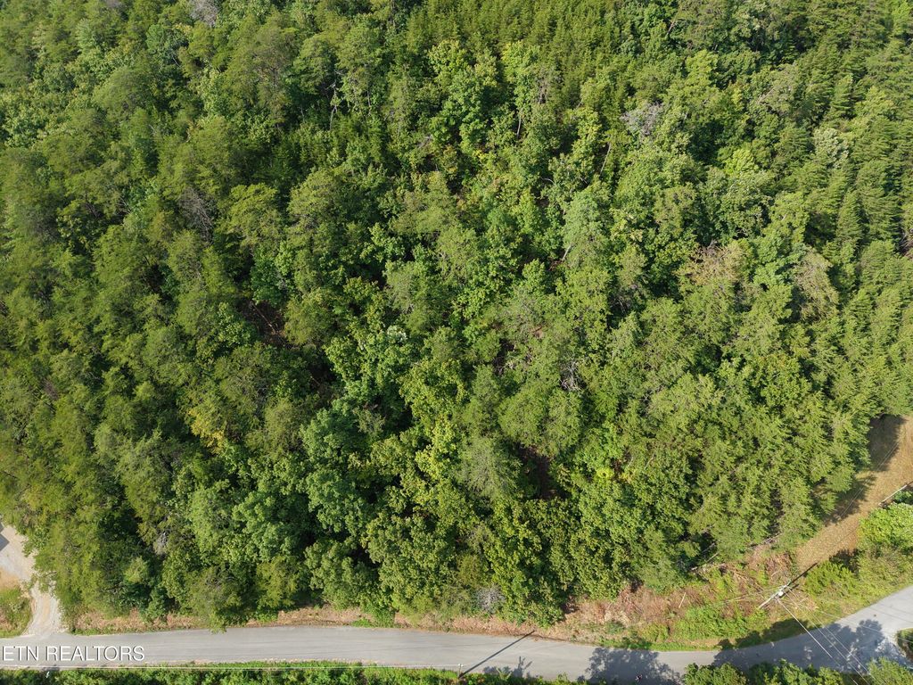 Photo of Helton Rd, Sevierville, TN 37876 (MLS # 1313182)