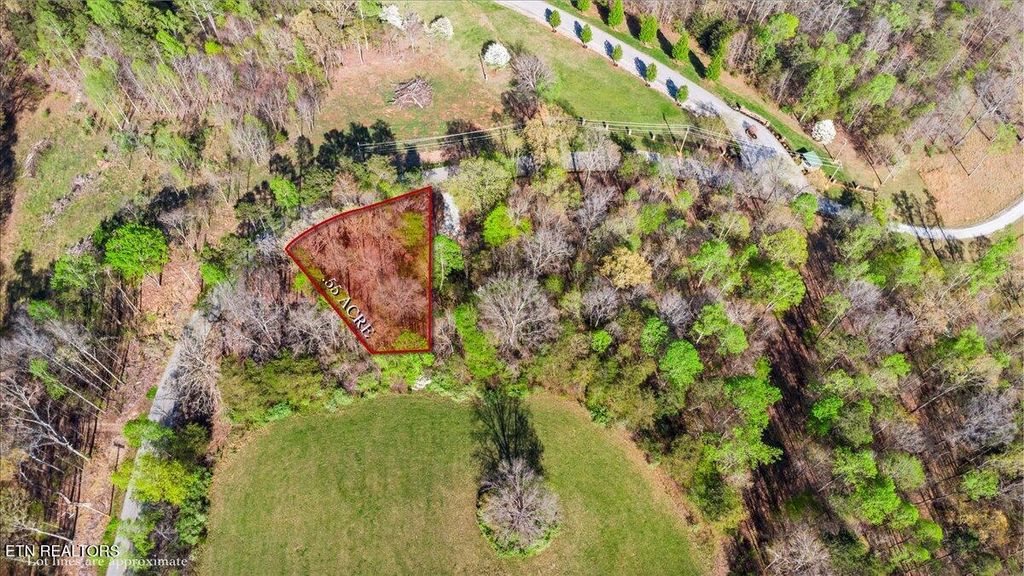 Photo of 14 Demory Rd, LaFollette, TN 37766 (MLS # 1296926)